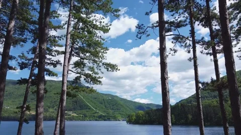 Forest lake Stock Footage 164833147