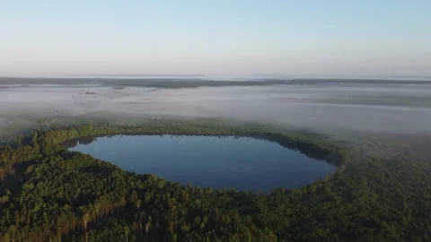 Forest lake Stock Footage 166595297