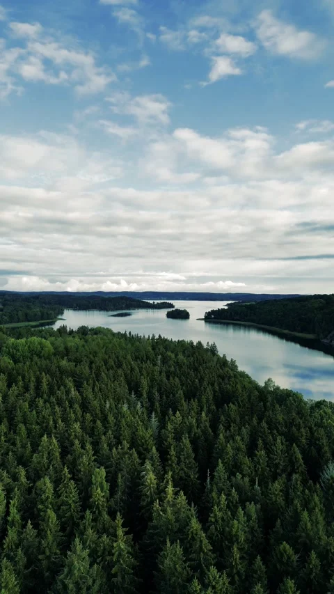 Forest Lake Video stock 208850306