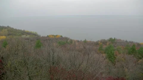 Forest at the lake Stock Footage 227740909