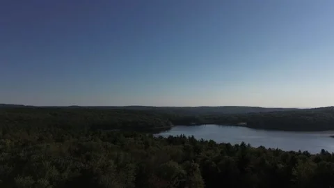 Forest with lake Stock Footage 264553767