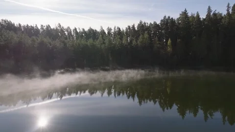 Forest lake Stock Footage 287103368