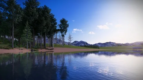 Forest lake Stock Footage 297695719