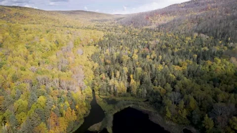 Forest Lake Stock Footage 337227056