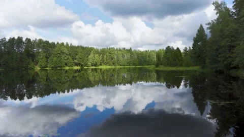 Forest lake with forest and clouds reflection Stock Footage 159758741
