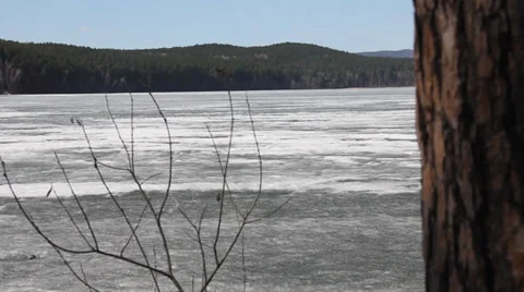 The forest lake is in forward spring Stock Footage 37317466