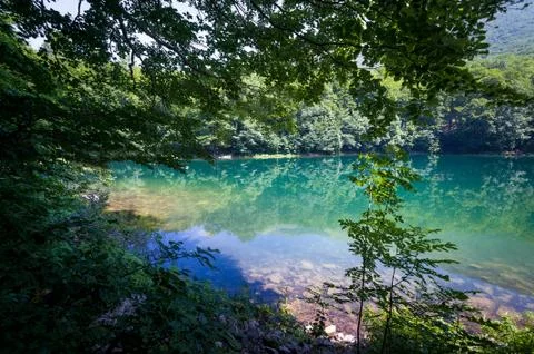 Forest lake in the frame of trees Stock Photos
