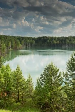 Forest lake landscape. View of the blue lake forest Stock Photos