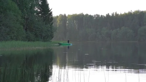 Forest lake late summer evening Video stock 83609246