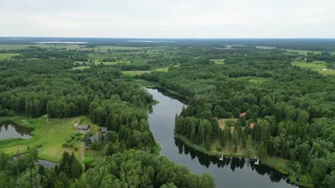 Forest, lake, meadows, fields, green nature. Stock Footage 302577726