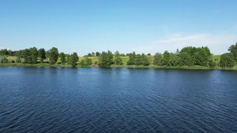 Forest, lake, meadows, fields, green nature. Stock Footage 302629803