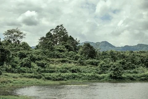 A forest with a lake in the middle Stock Photos