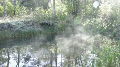 Forest lake with mist Stock Footage 41548124