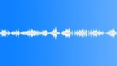 Forest. Lake. Morning. Sound Effect