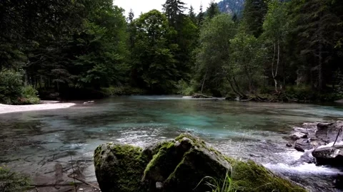 Forest lake mountain Video stock 273210567