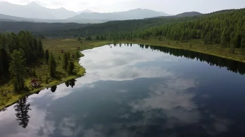 Forest by the lake in the mountains Stock Footage 167920204