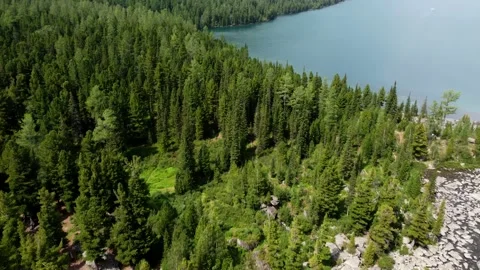 Forest by the lake in the mountains Stock Footage 167920284