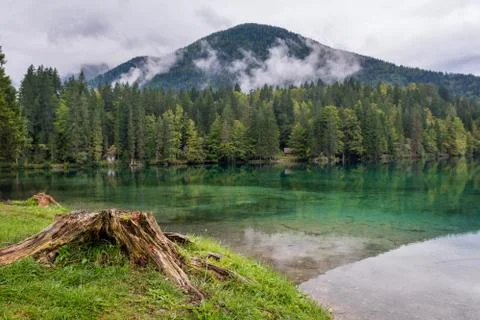 Forest lake panorama. Stock Photos