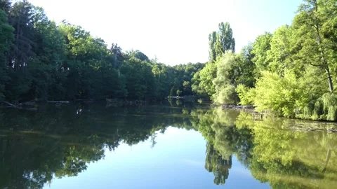 Forest lake panoramic view with sky reflection Vidéo 339351367