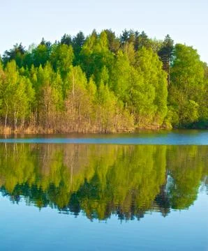 Forest on a lake Foto stock
