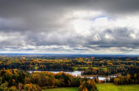 Forest lake Stock Photos