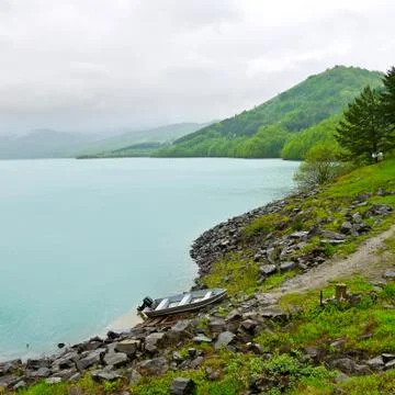 Forest lake Stock Photos