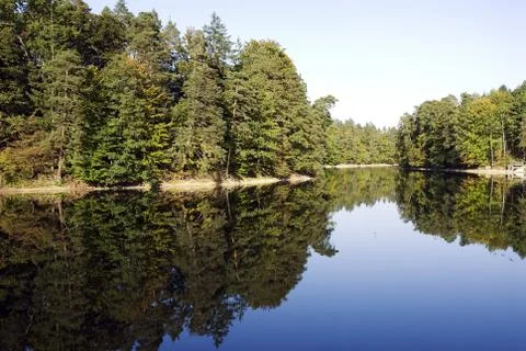 Forest lake Stock Photos
