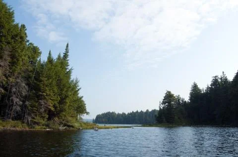 Forest lake Stock Photos