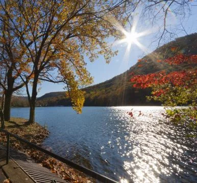 Forest lake. Foto stock