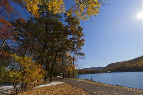 Forest lake. Stock Photos
