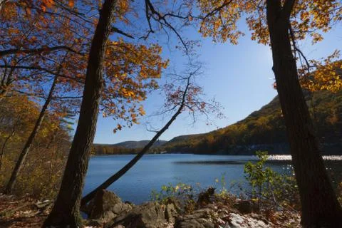 Forest lake. Stock Photos