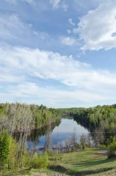 Forest lake Stock Photos