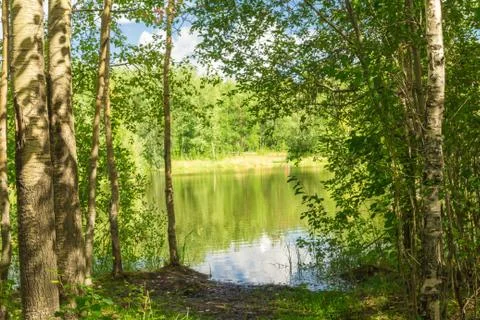 Forest Lake 写真素材