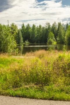 Forest Lake 스톡 사진