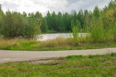 Forest Lake Fotos Stock