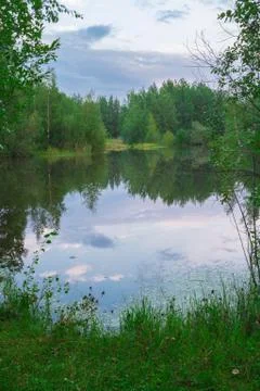Forest Lake 写真素材