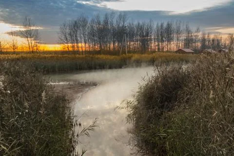 By the forest lake Fotos Stock