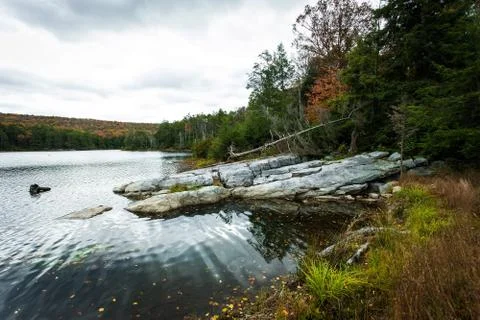 Forest lake Stock Photos