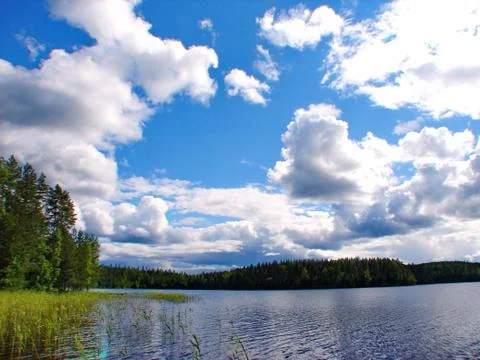 Forest lake Stock Photos