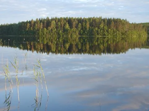 Forest lake Stock Photos