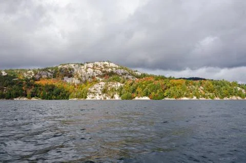 Forest lake Stock Photos