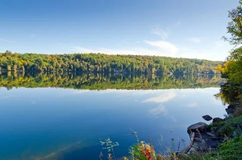 Forest lake Stock Photos