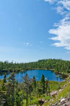 Forest lake Stock Photos