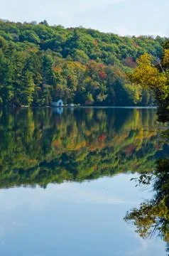 Forest lake Stock Photos
