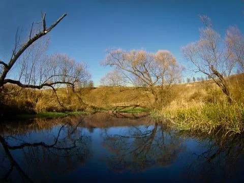 Forest lake Stock Photos
