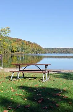 Forest lake Stock Photos