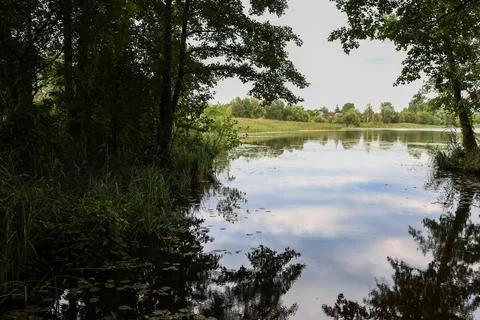 Forest lake Stock Photos