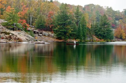 Forest lake Stock Photos
