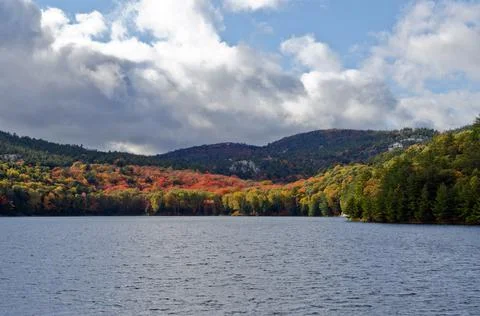 Forest lake Stock Photos