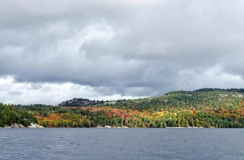 Forest lake Stock Photos